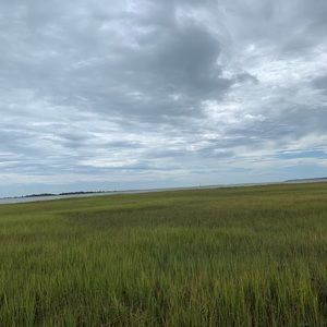 Meet your Posher, Juli